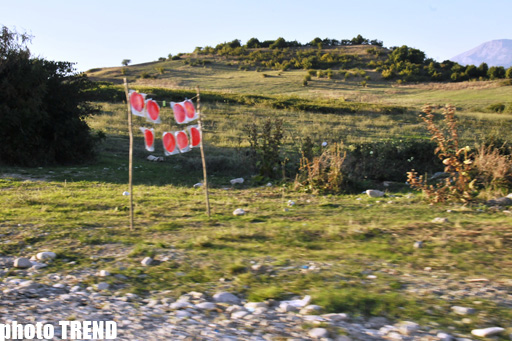 Azərbaycanın tanınmış mügənnisinin yol əhvalatı (FOTO)